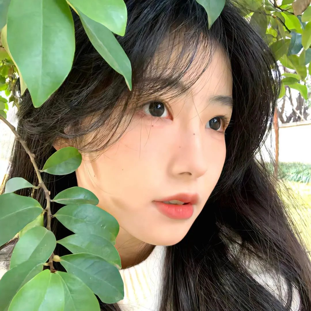 赵琳的探险日记